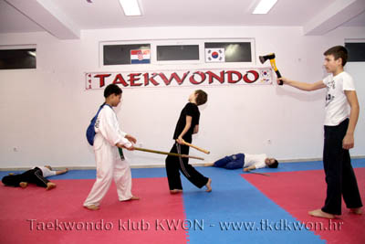 taekwondo kwon training